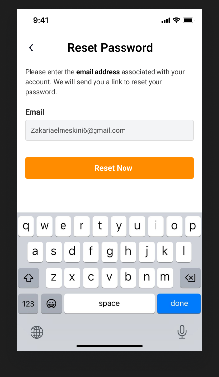 Travel account password-reset form with the email field active