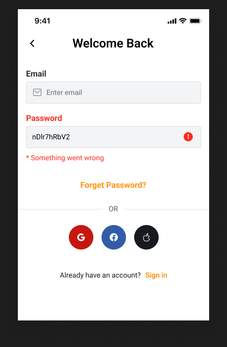 Travel application sign-in form showing an inline authentication error